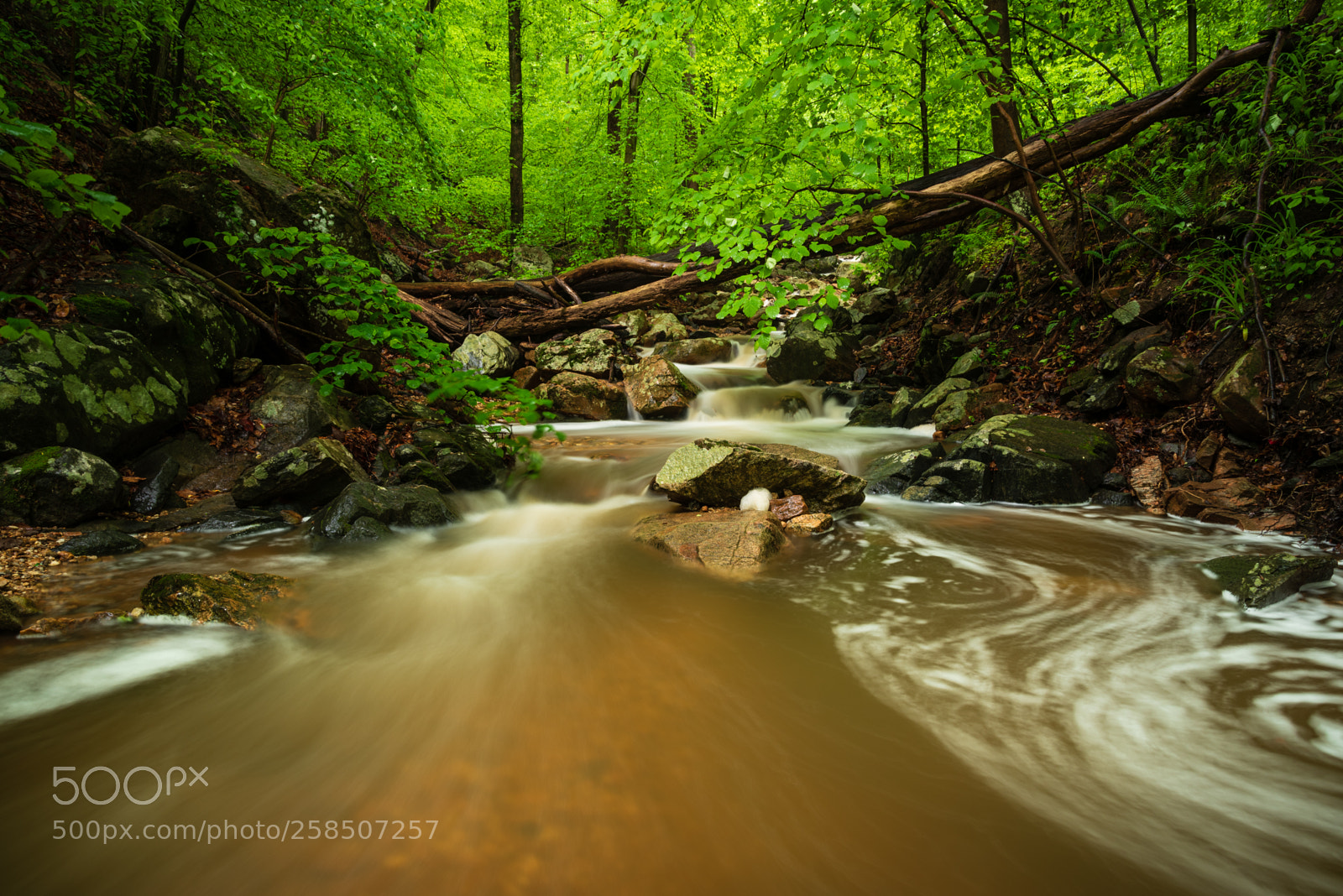 Nikon D750 sample photo. Upstream obstacle photography