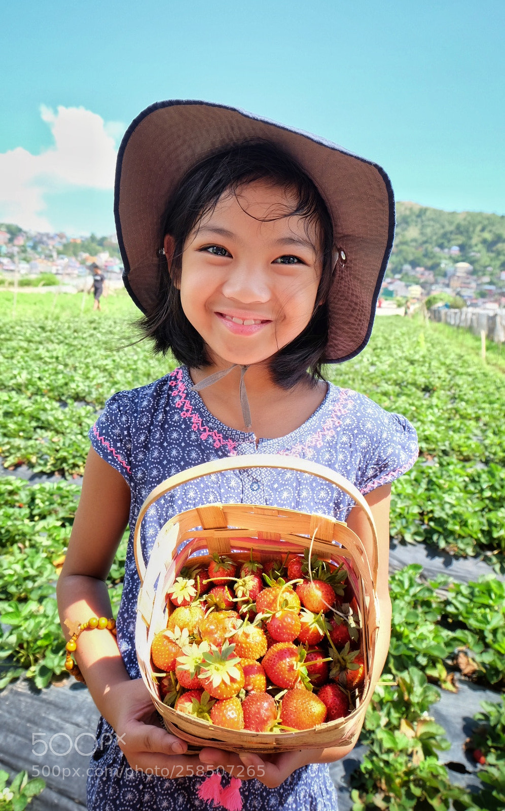 Fujifilm X-T10 sample photo. Strawberry field photography