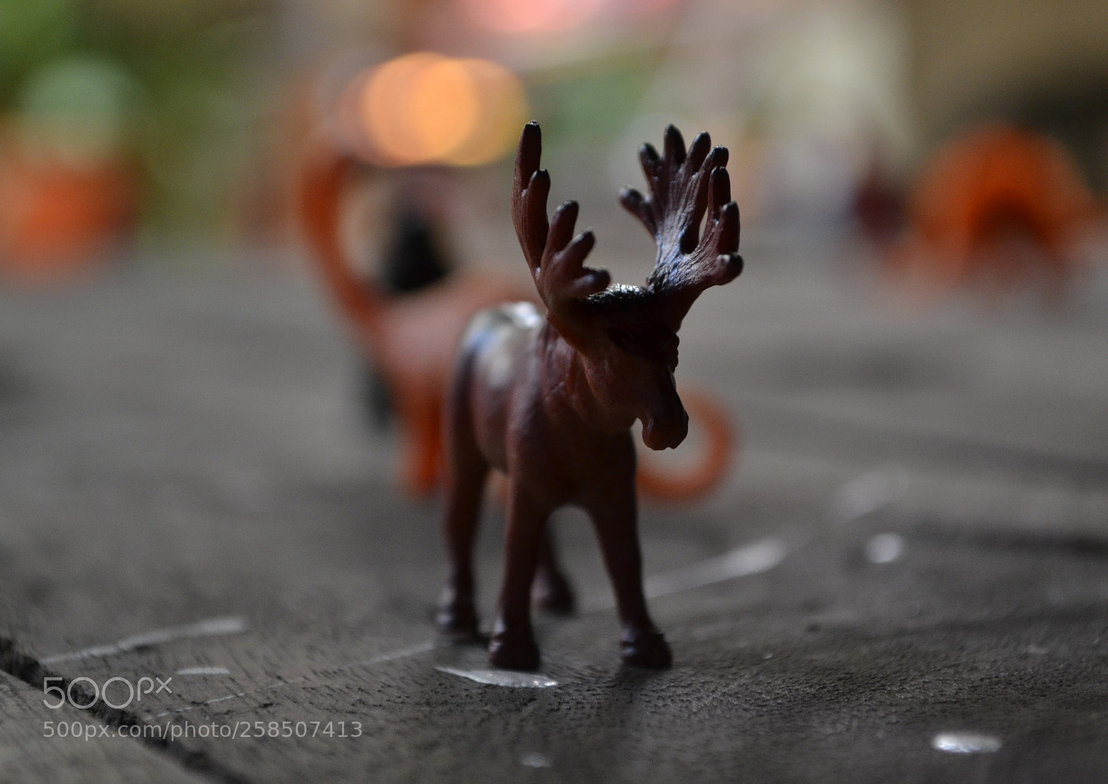 Nikon D3100 sample photo. () photography