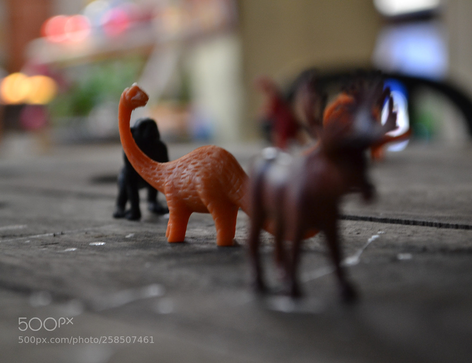 Nikon D3100 sample photo. () photography