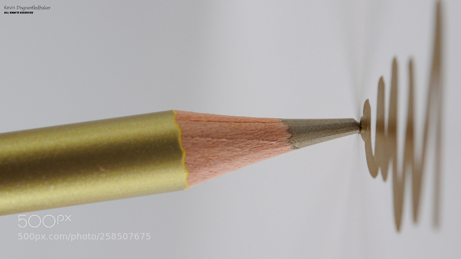 Nikon D90 sample photo. Gold squiggle  photography