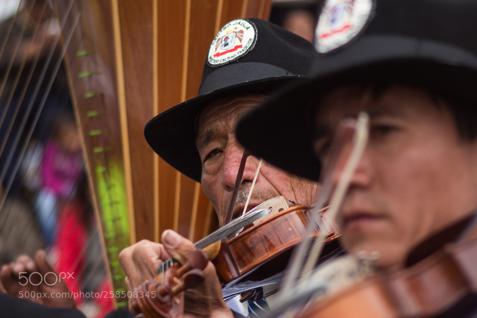 Canon EOS 650D (EOS Rebel T4i / EOS Kiss X6i) sample photo. Violinista photography