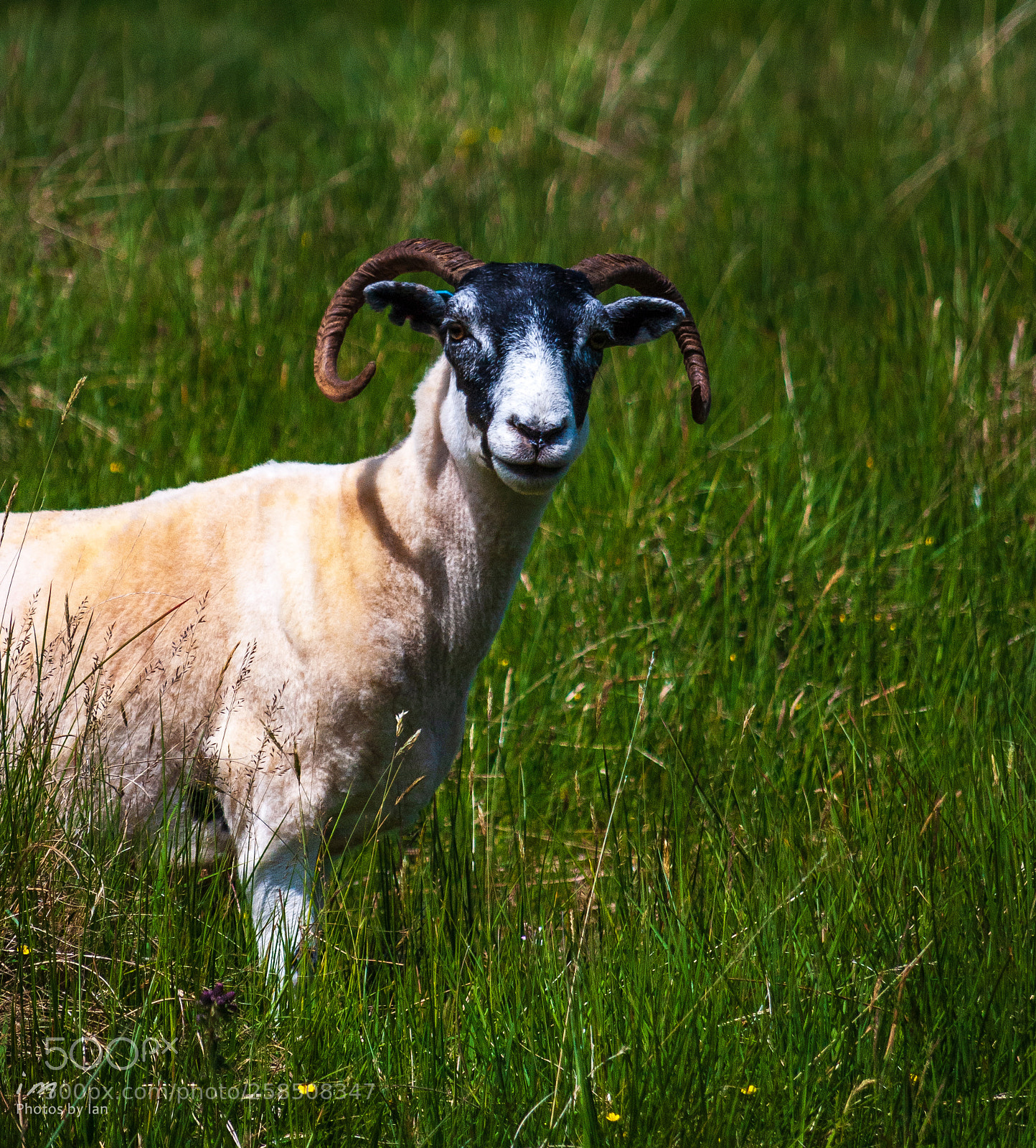 Nikon D60 sample photo. What are you looking photography