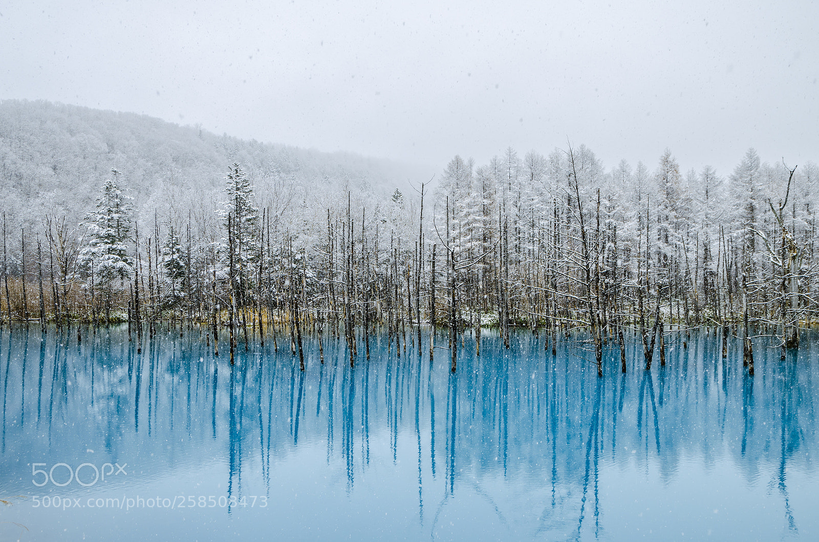 Nikon D7000 sample photo. Biei blue pond photography