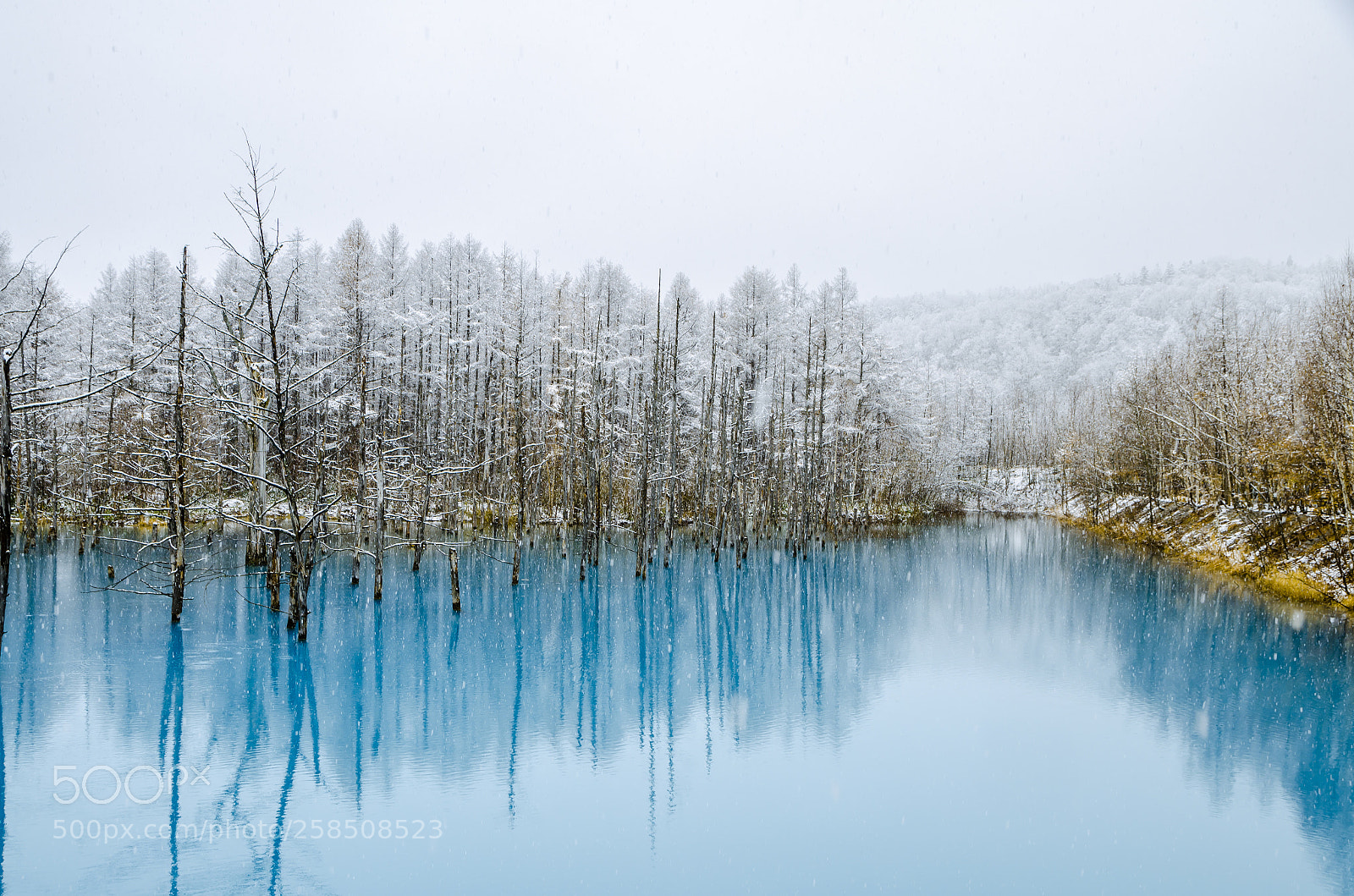 Nikon D7000 sample photo. Biei blue pond photography