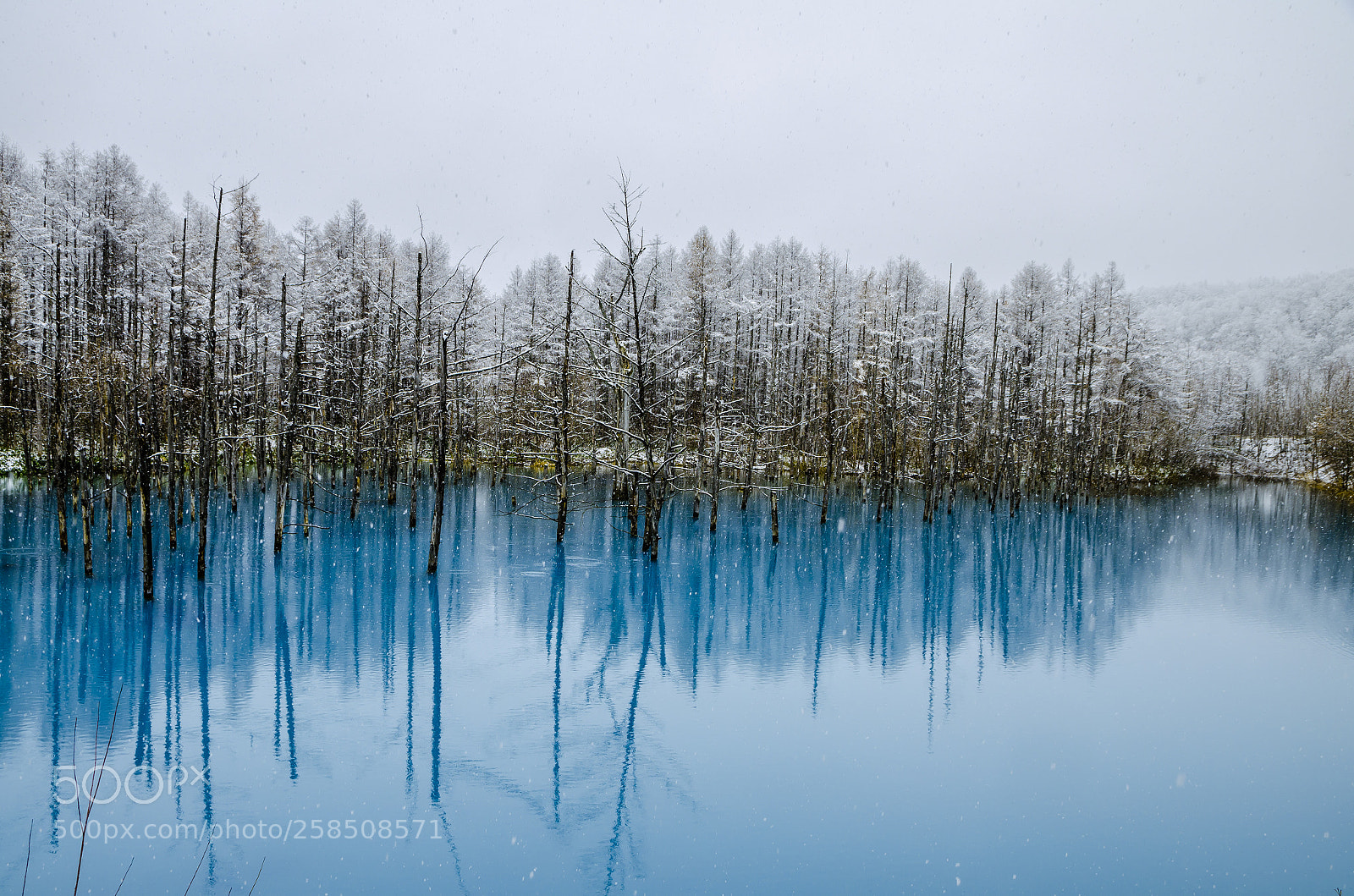 Nikon D7000 sample photo. Biei blue pond photography