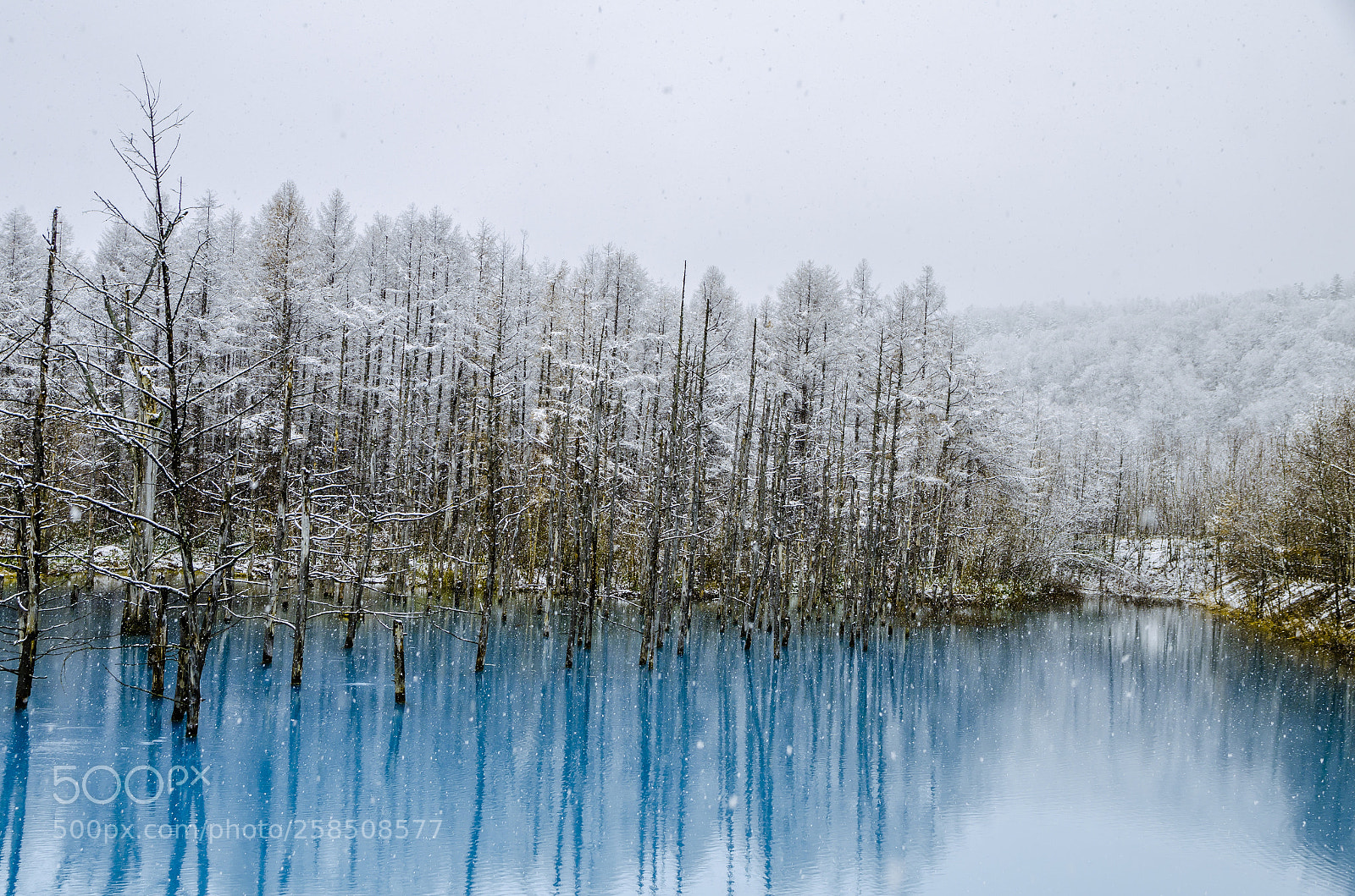 Nikon D7000 sample photo. Biei blue pond photography
