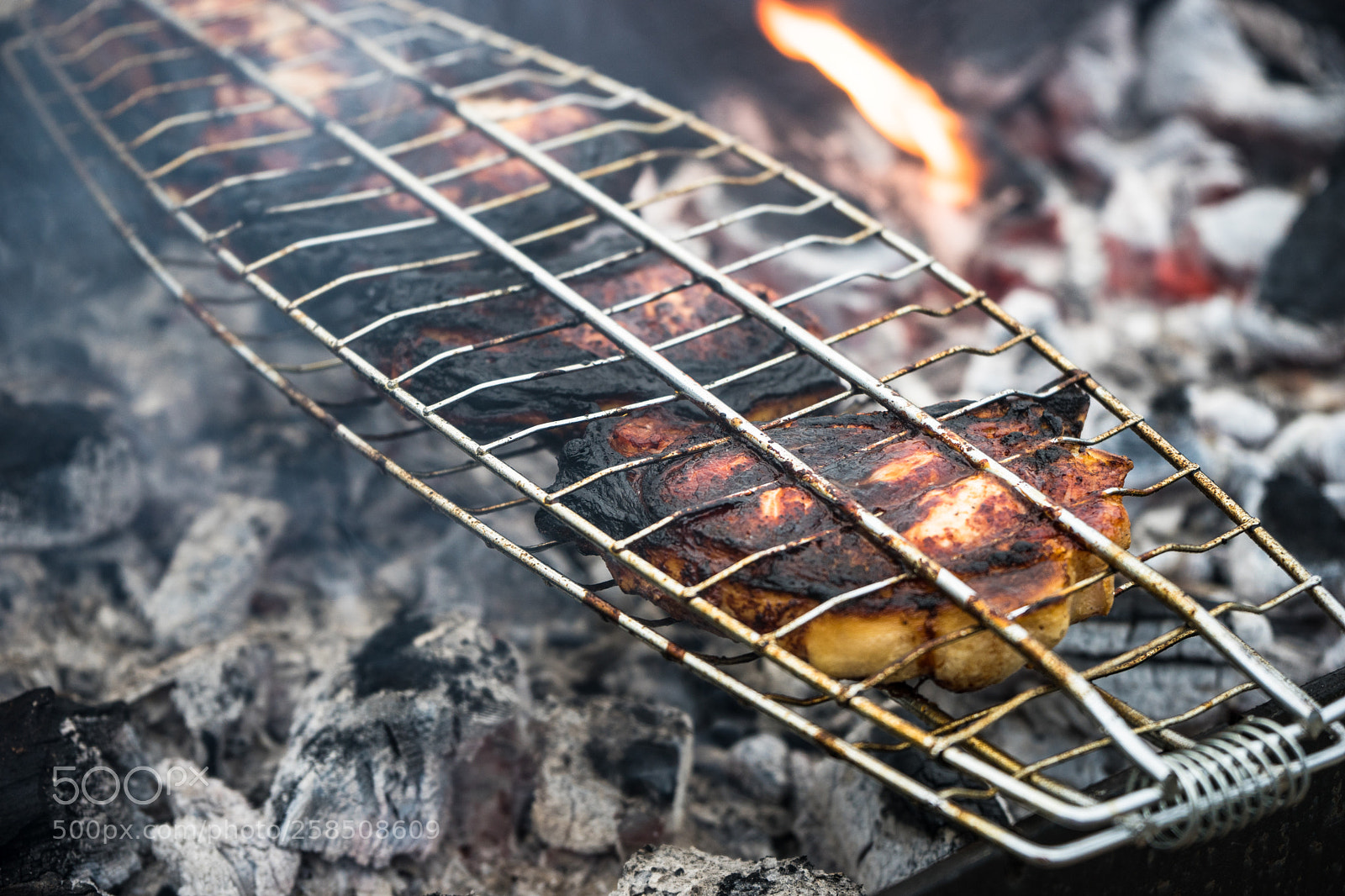 Sony a7 sample photo. Grilled meat on bbq photography