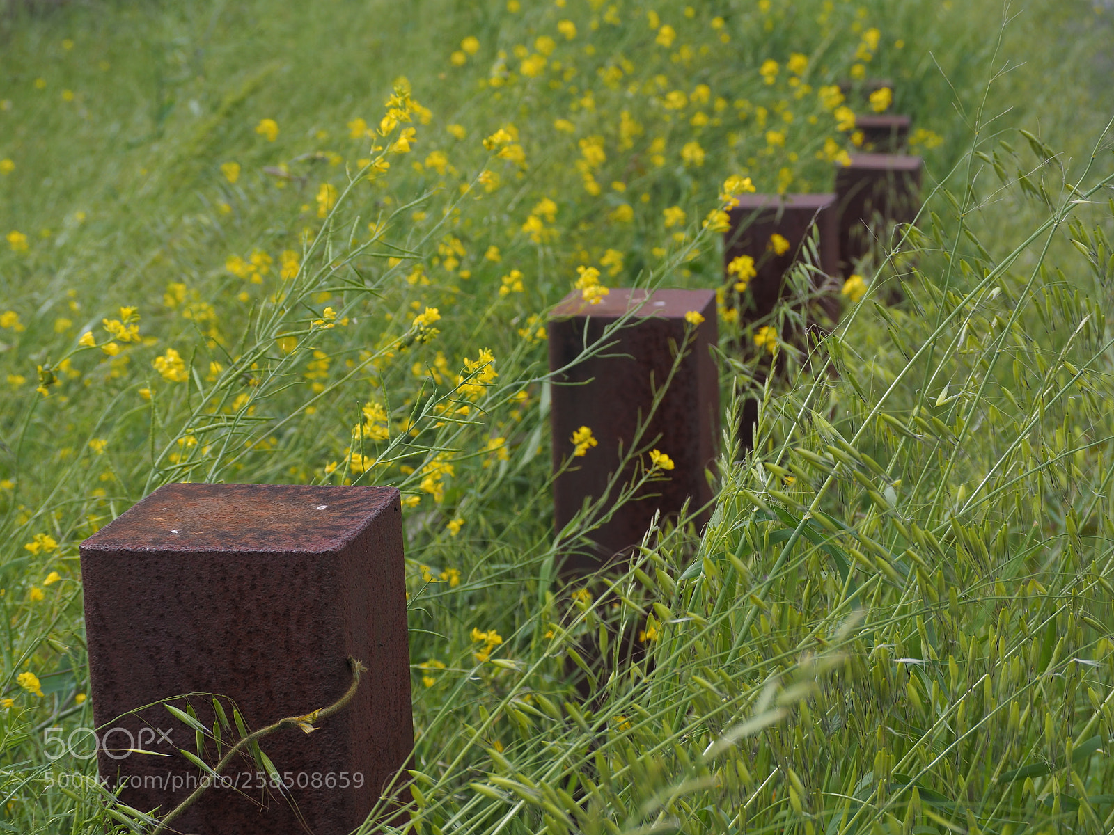 Olympus OM-D E-M10 II sample photo. Iron pillars photography