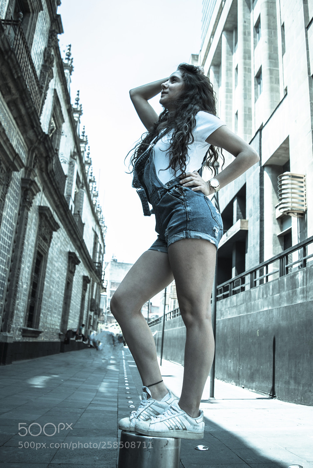 Nikon D5300 sample photo. Dan photography