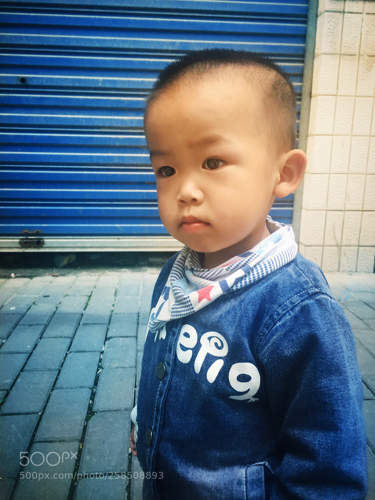 Apple iPhone 6 Plus sample photo. Untitled photography