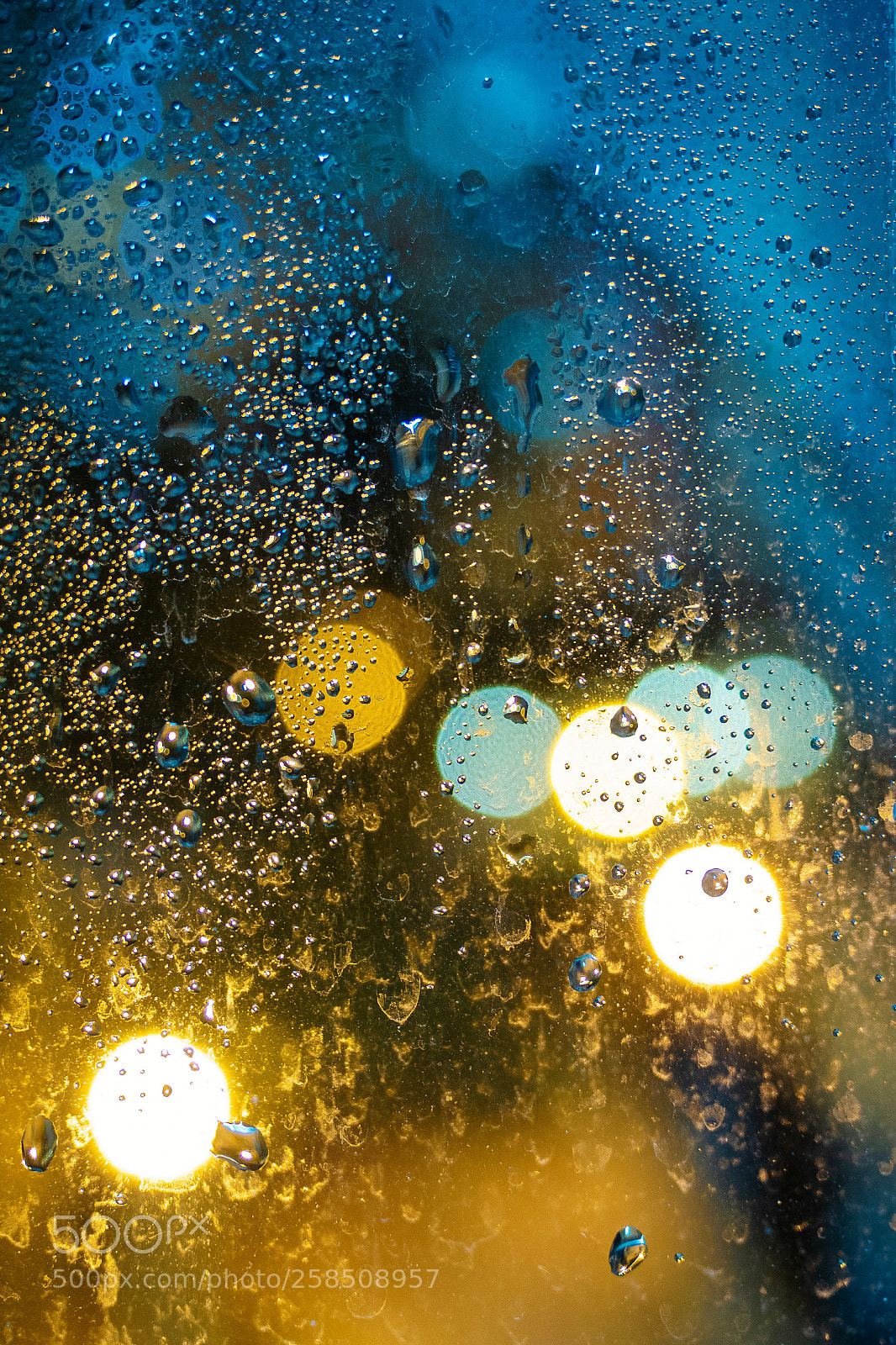 Olympus OM-D E-M5 II sample photo. Untitled photography