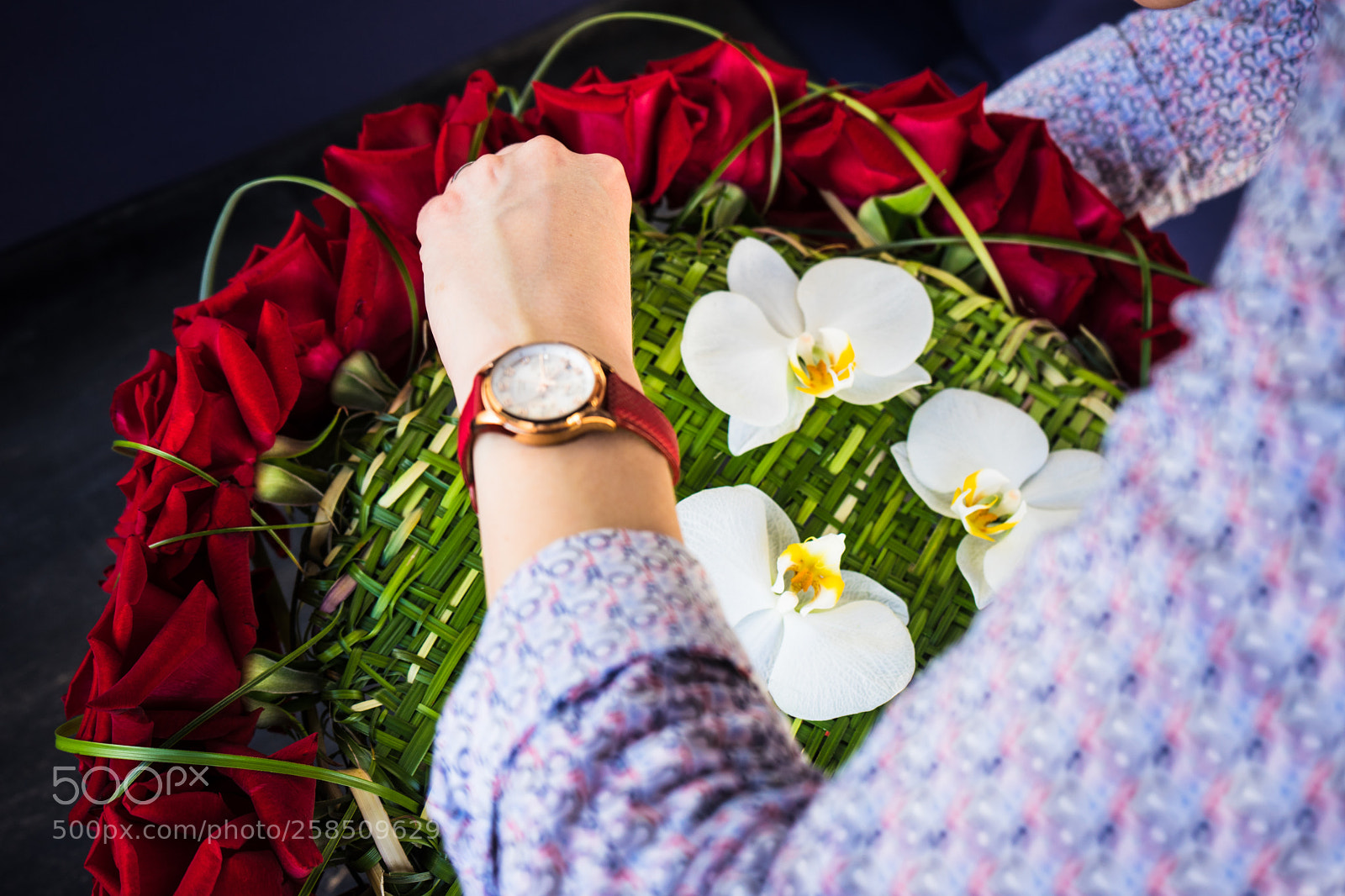 Sony a7 sample photo. Red roses in creative photography