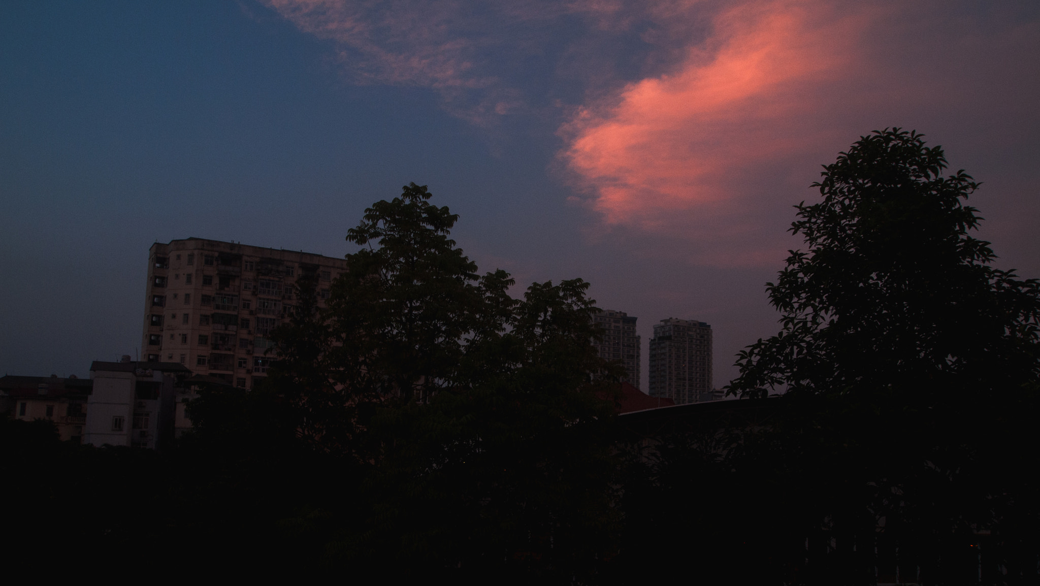 Olympus PEN E-P1 sample photo. Orange skies photography