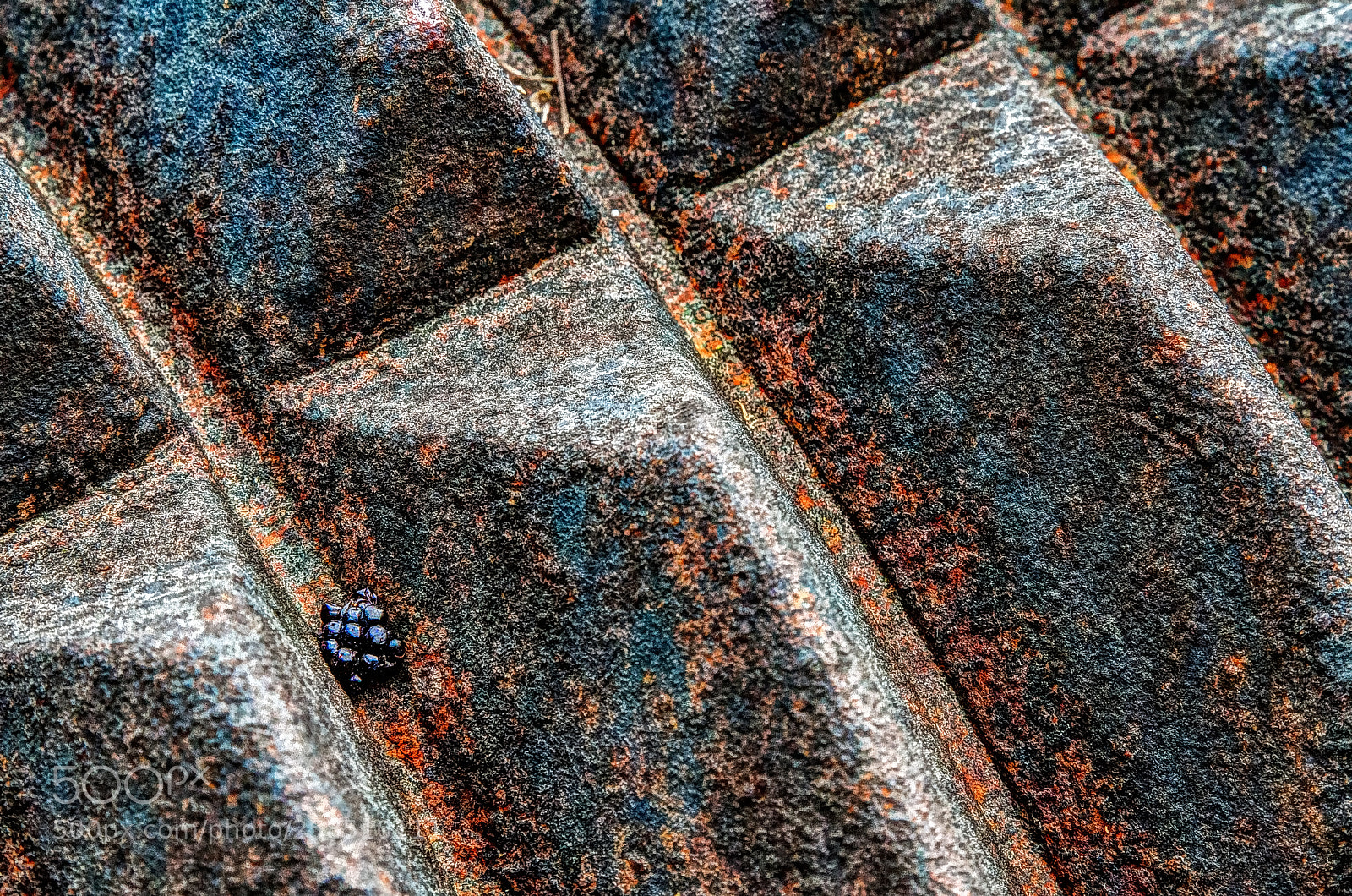 Canon EOS 7D sample photo. Texture study photography