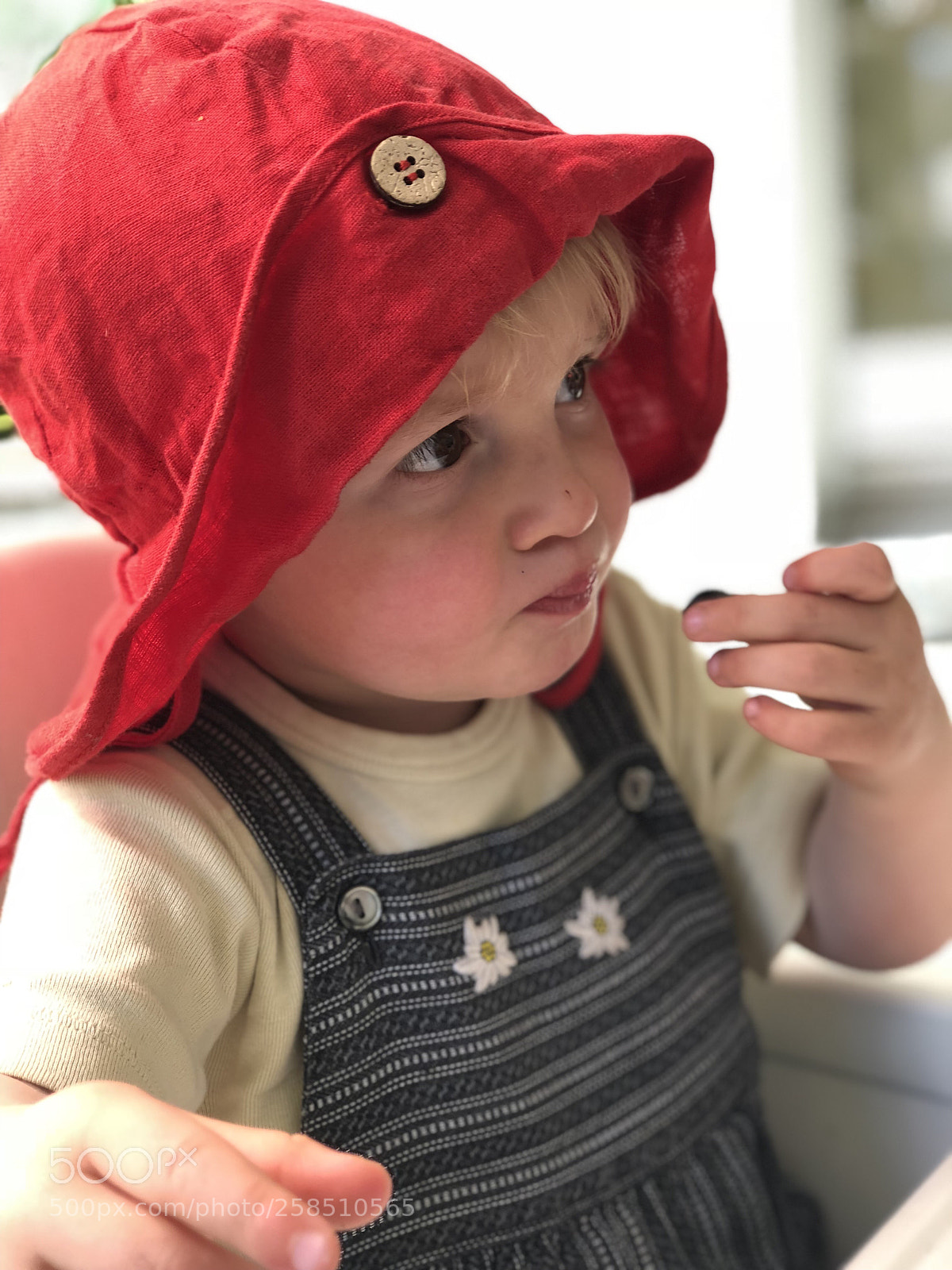 Apple iPhone 8 Plus sample photo. Untitled photography