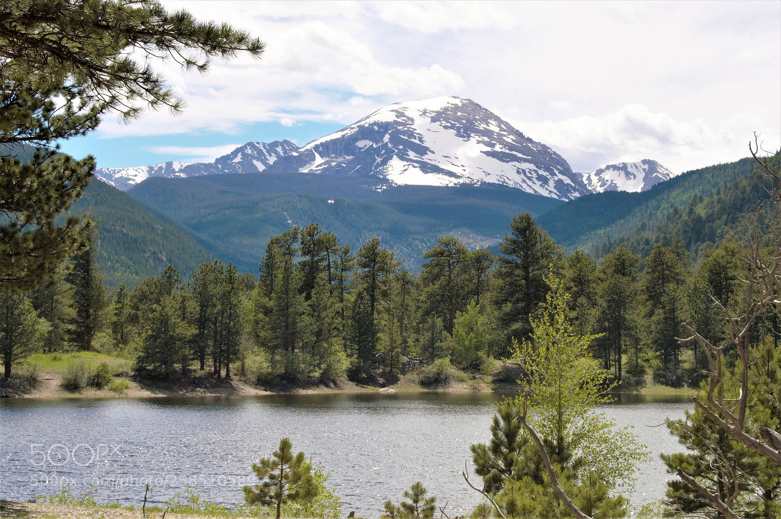 Nikon D3200 sample photo. View on the way photography