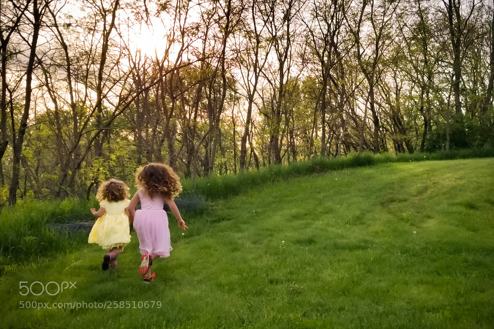 Samsung Galaxy S8 sample photo. Chasing dandelions photography