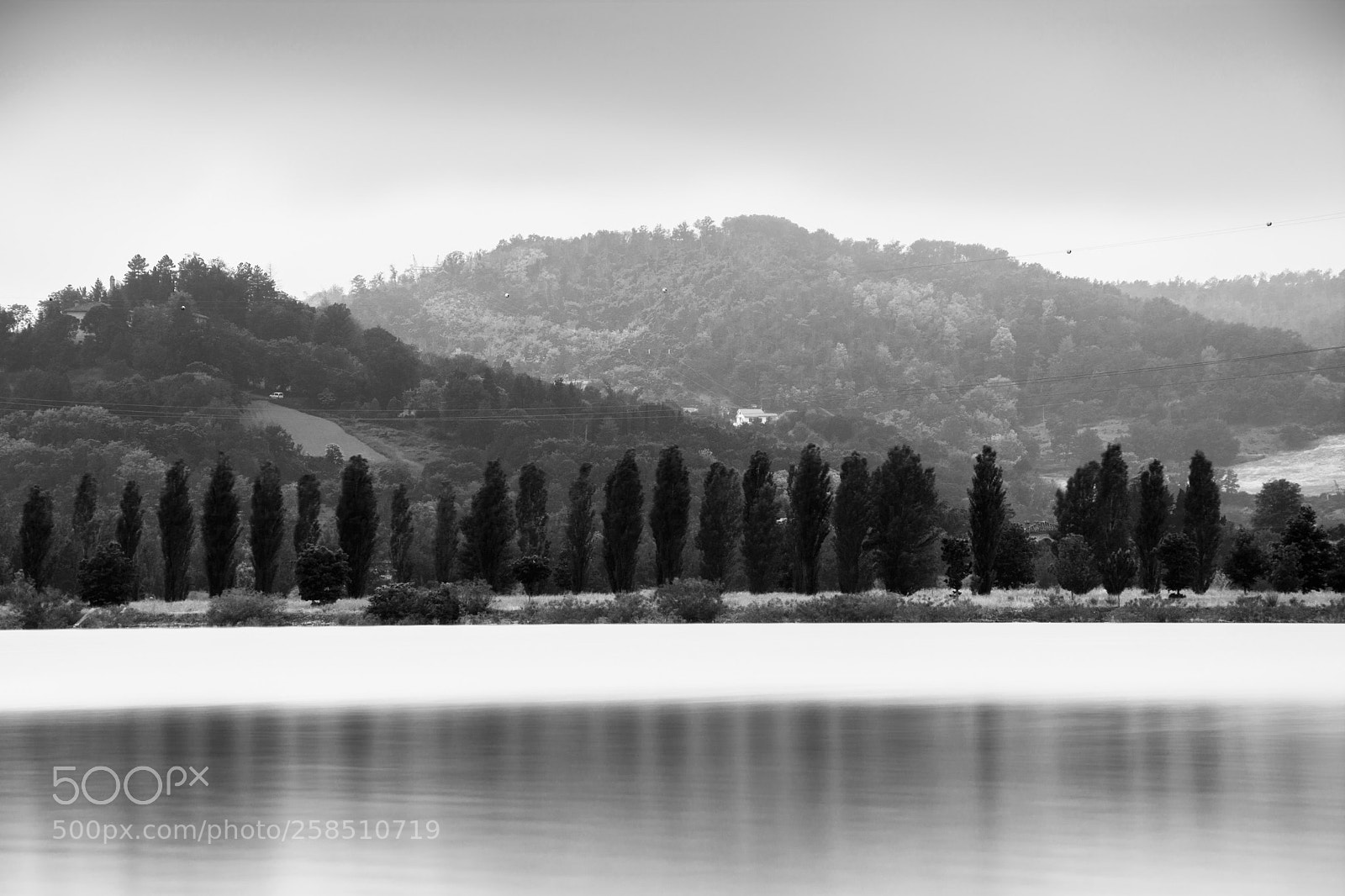 Nikon D5200 sample photo. In a row photography