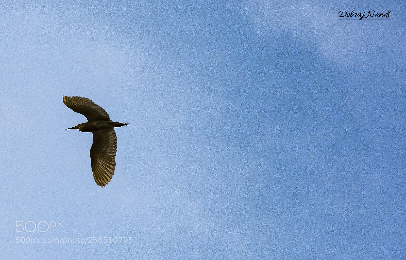 Nikon D7200 sample photo. The flyier photography