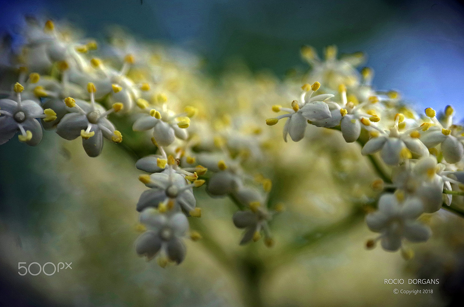 Pentax K-30 sample photo. Spring photography