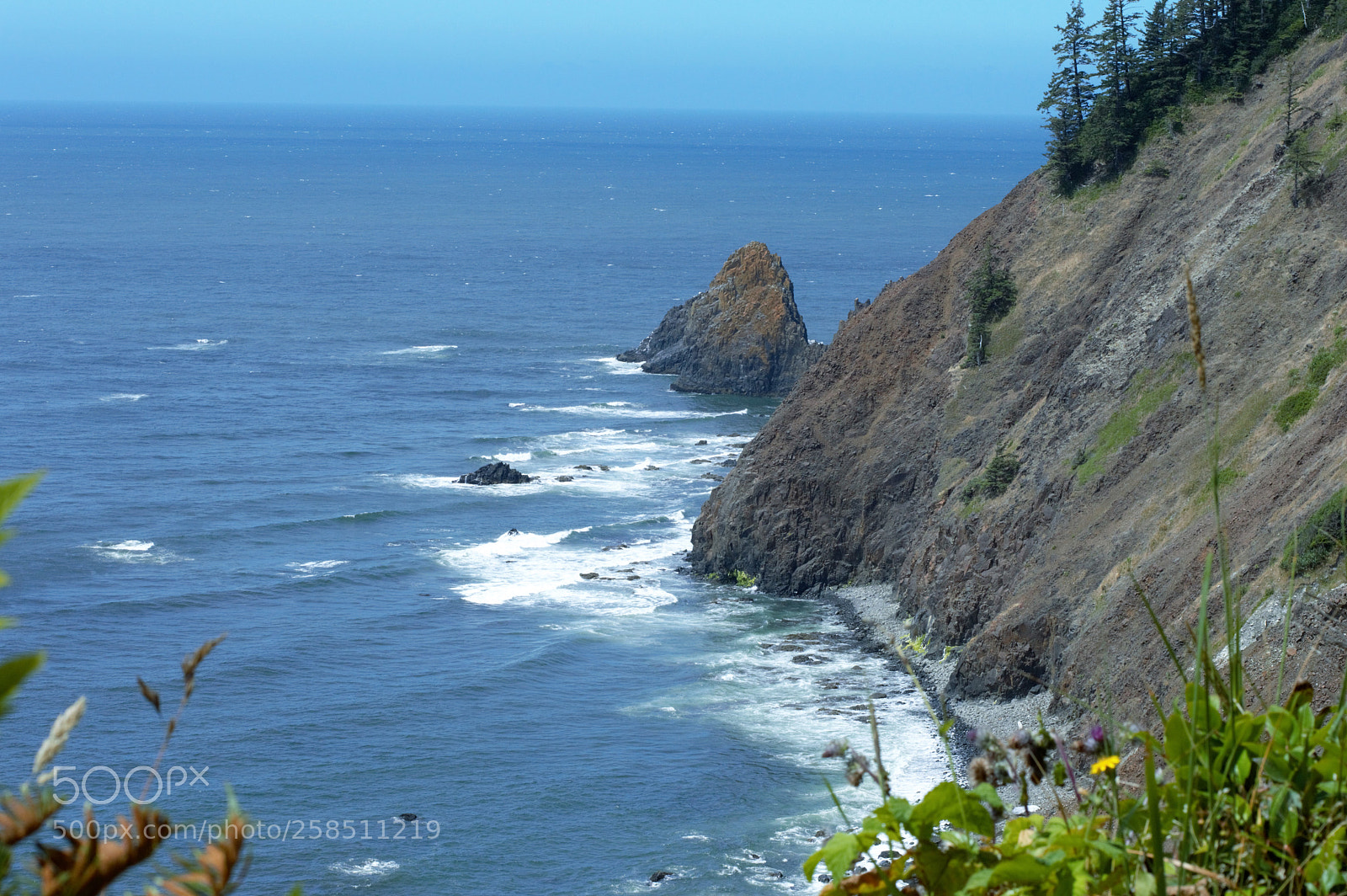 Nikon D3200 sample photo. In the footsteps of photography