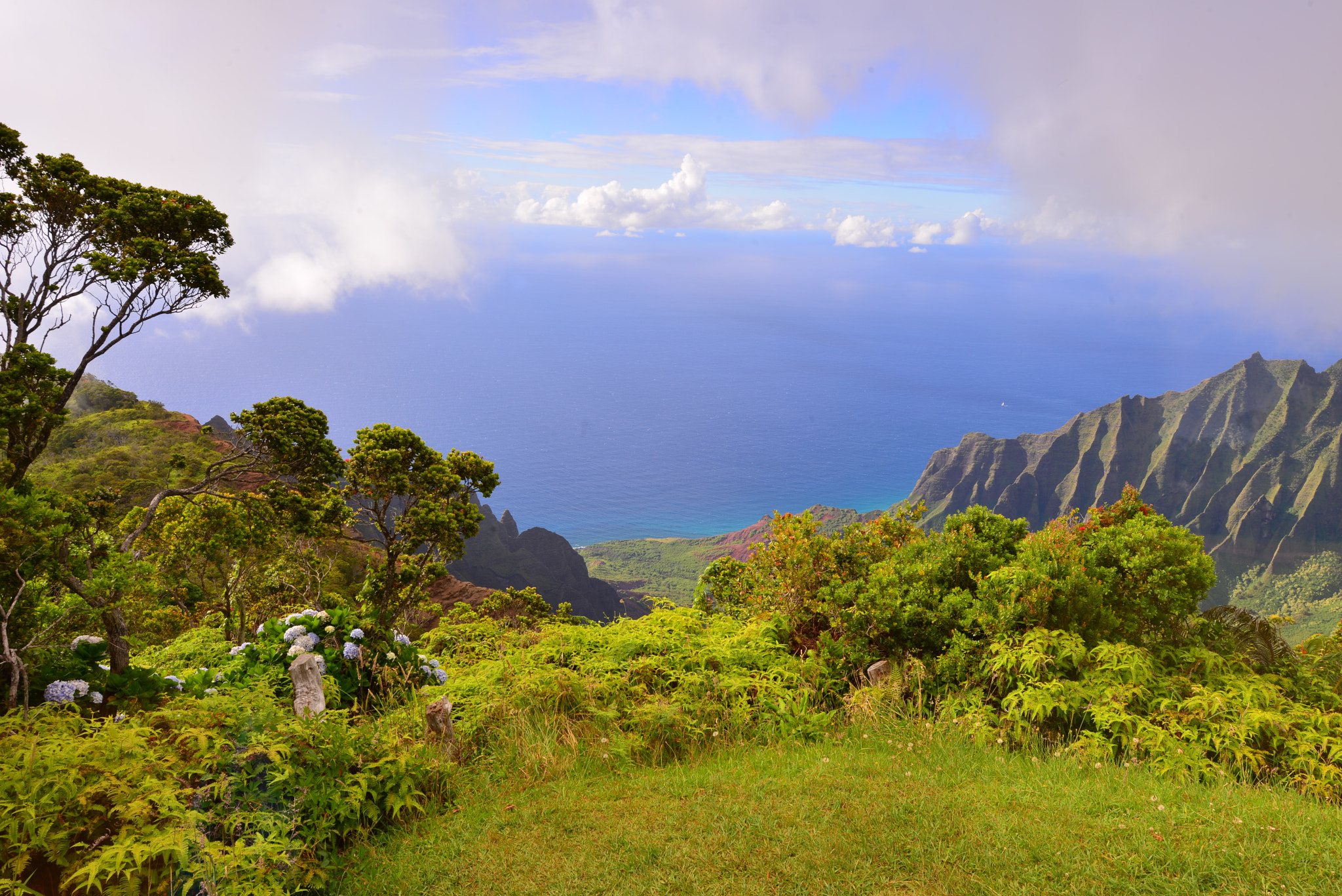 Nikon D800E + Nikon AF-S Nikkor 14-24mm F2.8G ED sample photo. When napali meet ocean photography