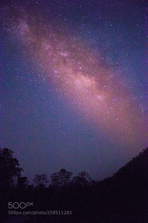 Canon EOS 80D sample photo. Milky way polo forest photography