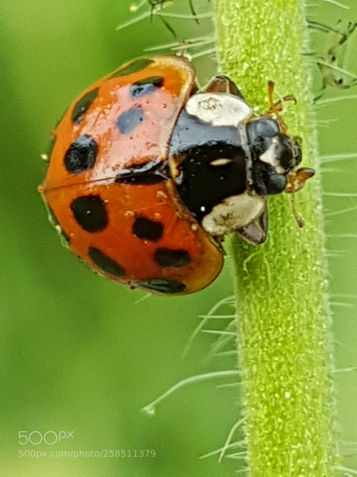 Samsung Galaxy S7 sample photo. Untitled photography