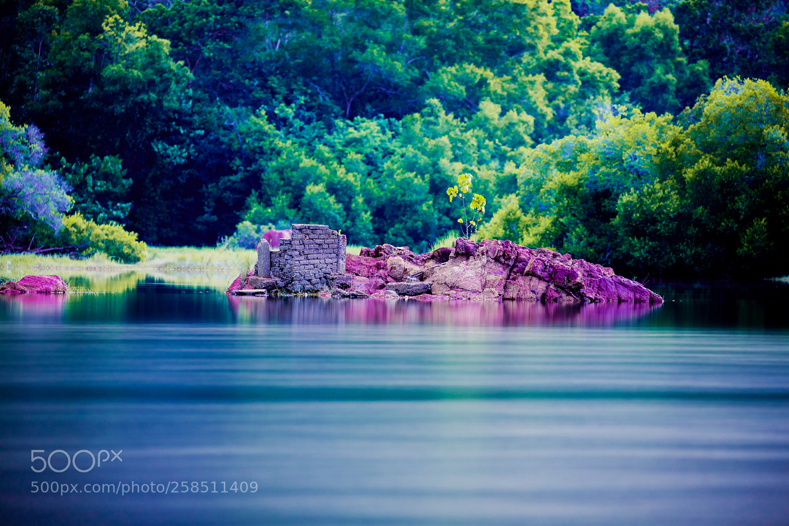 Canon EOS 5D Mark IV sample photo. The abandoned lake of photography