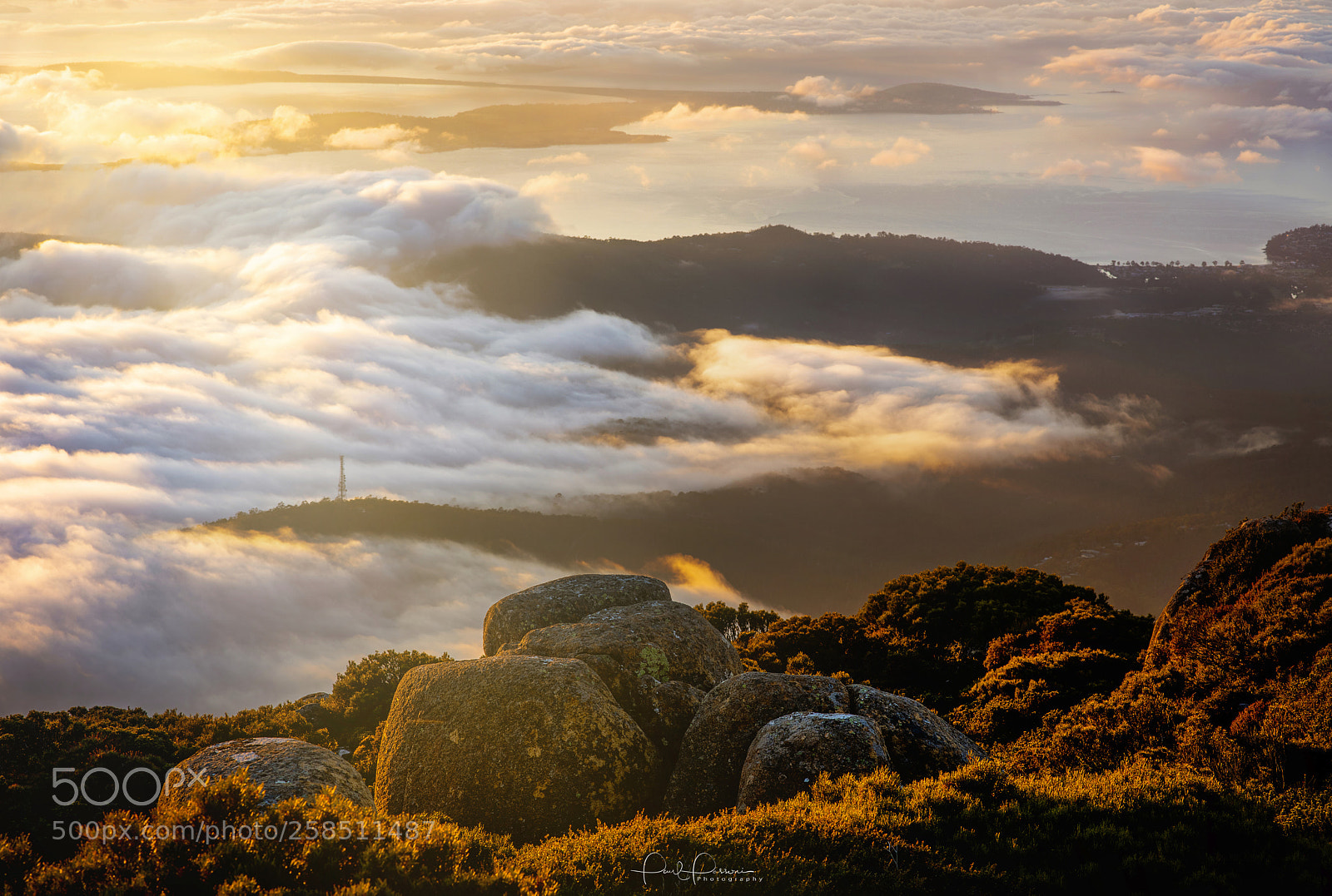 Nikon D810 sample photo. Morning light on wellington photography