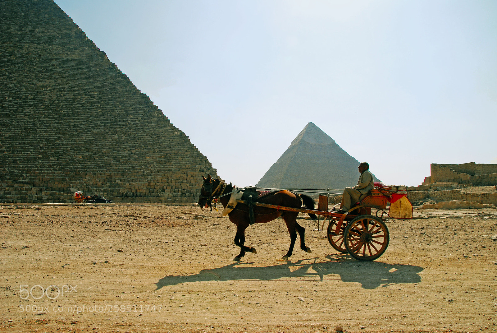 Nikon D80 sample photo. Giza. photography