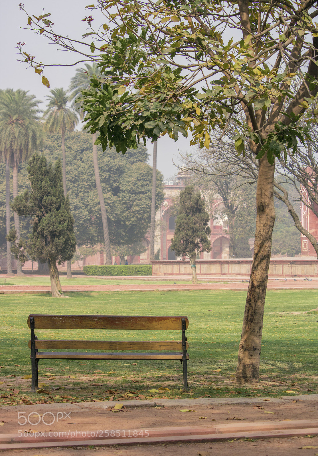 Canon EOS 750D (EOS Rebel T6i / EOS Kiss X8i) sample photo. The sitting bench photography