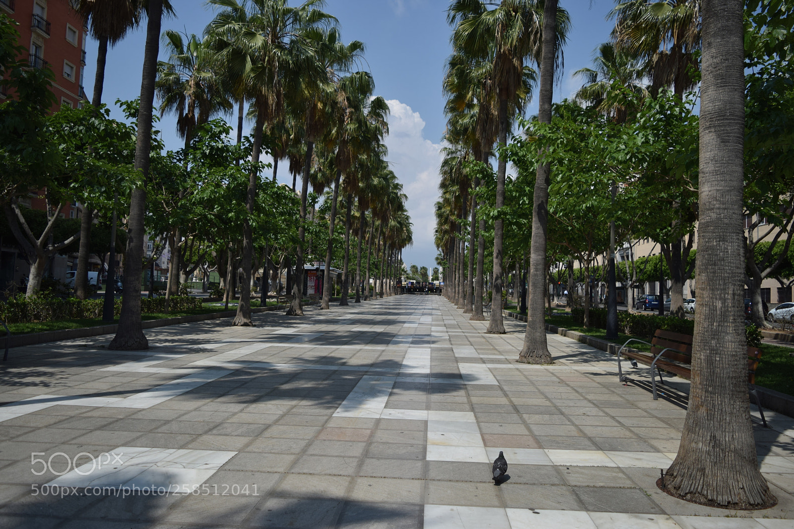 Nikon D3300 sample photo. Urban landscape photography