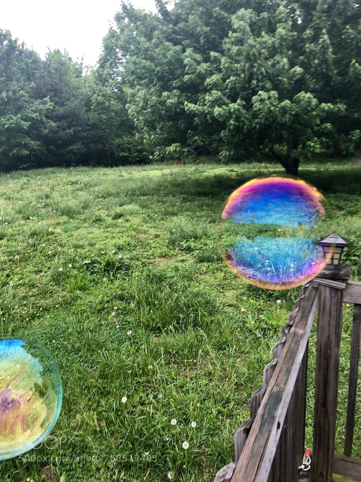 Apple iPhone X sample photo. Bubbles photography
