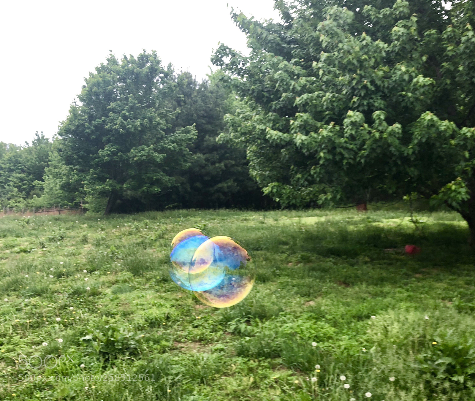 Apple iPhone X sample photo. Bubbles photography