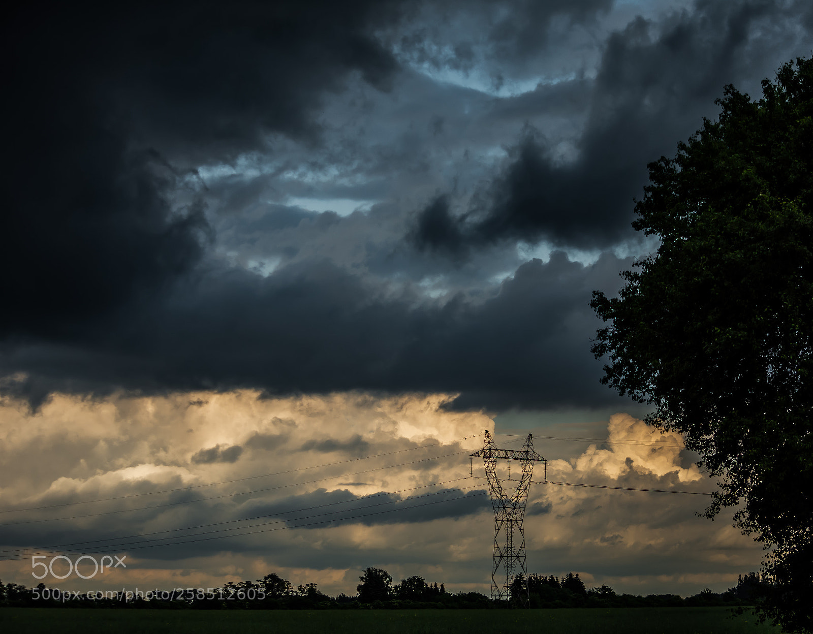 Nikon D7200 sample photo. Untitled photography