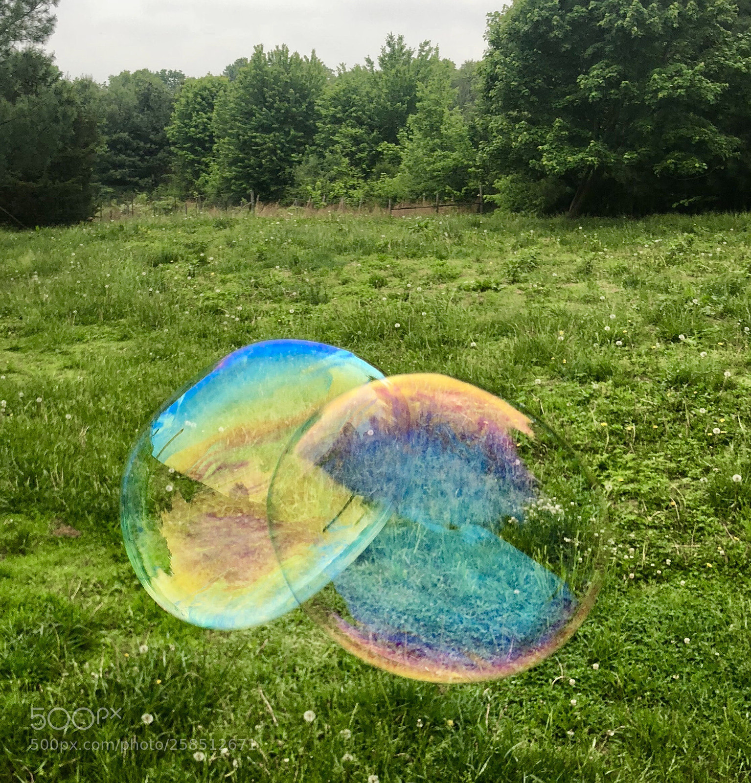 Apple iPhone X sample photo. Bubbles photography