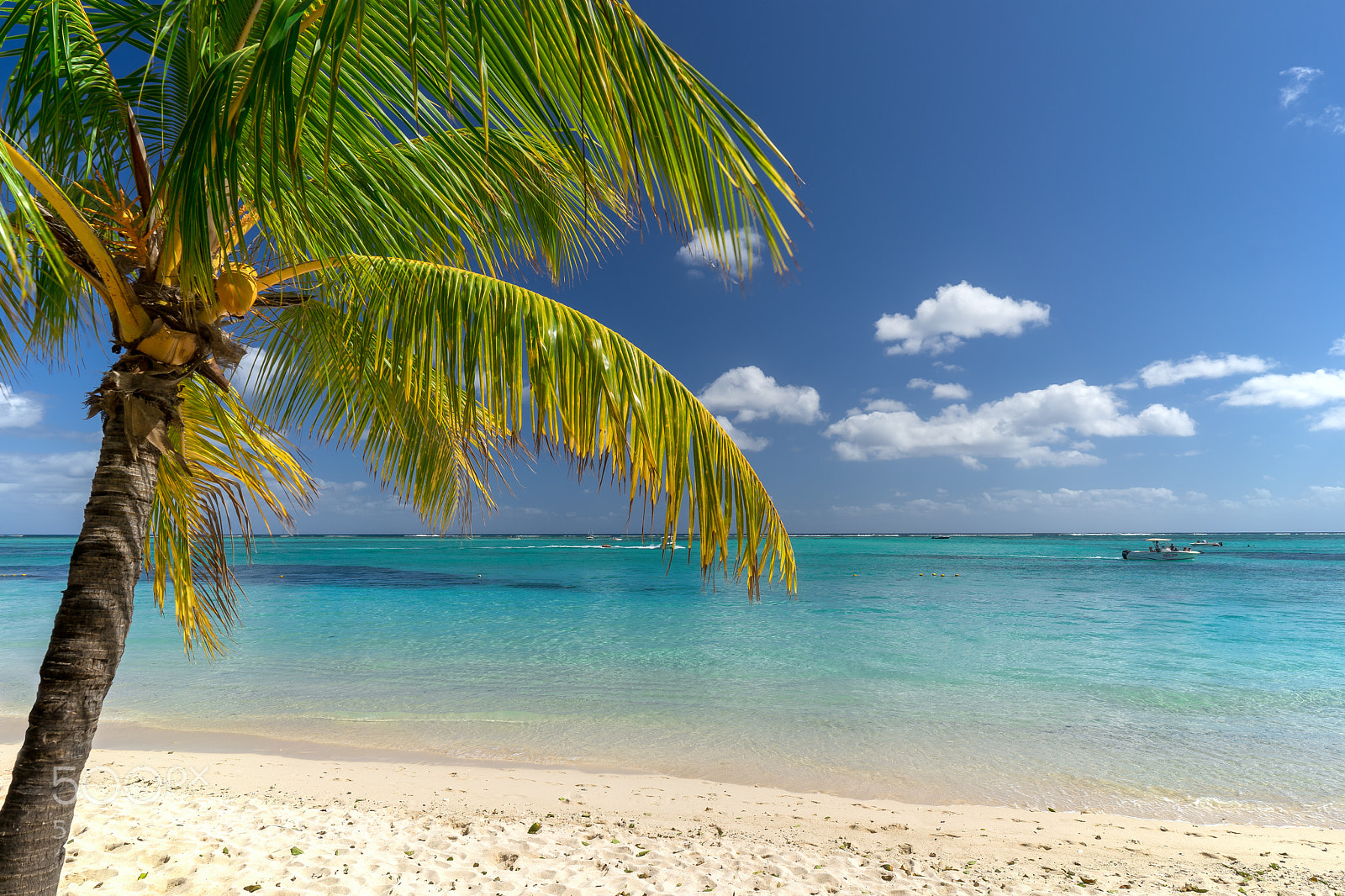 Sony a7 sample photo. Le morne beach photography