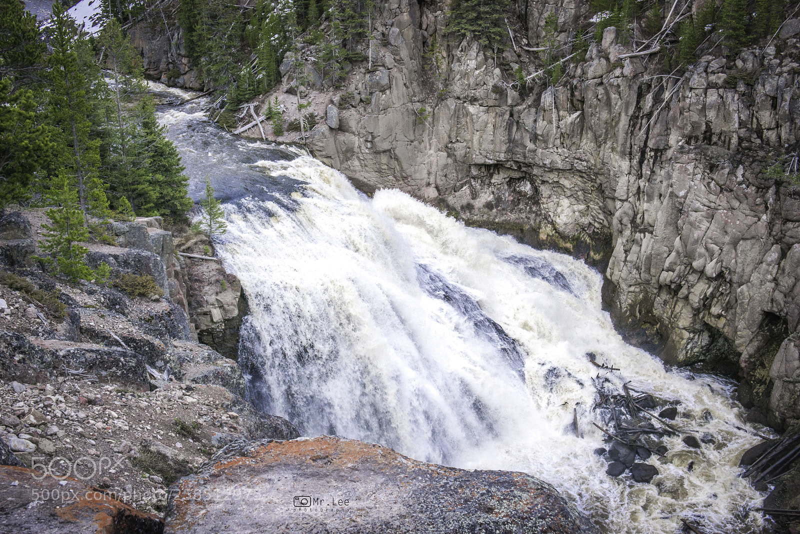 Nikon D800 sample photo. Gibbon falls photography