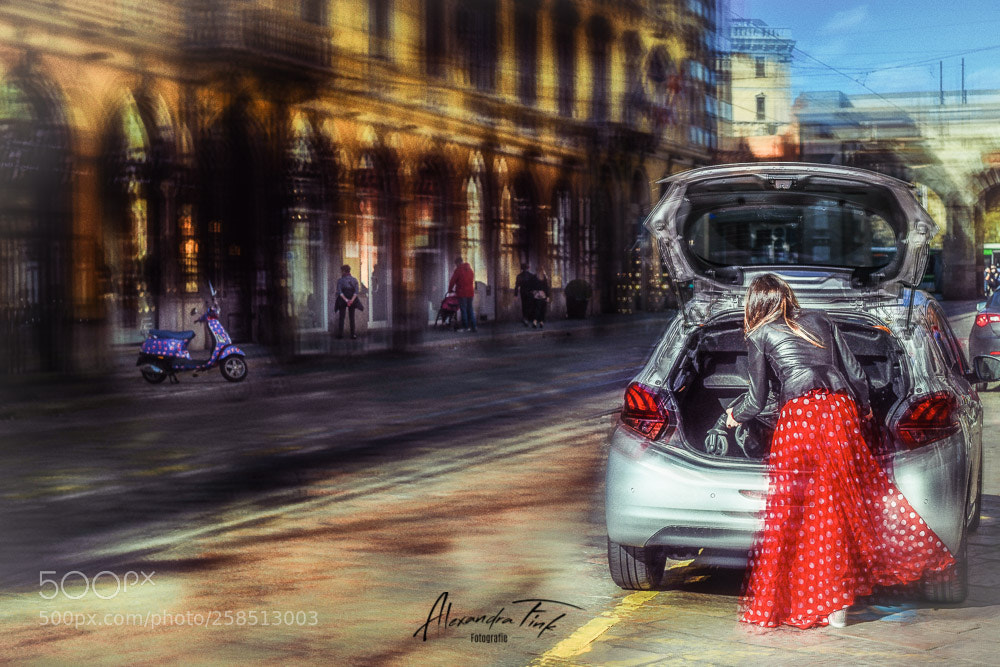 Nikon D850 sample photo. Milanoshopping photography