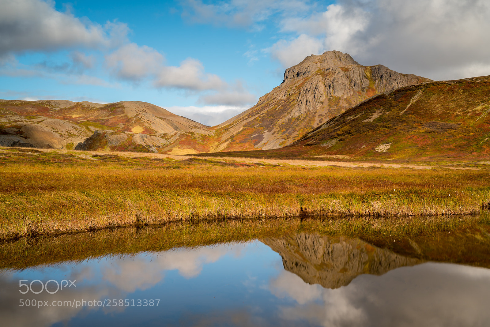 Nikon D750 sample photo. Automn in the westfjords photography