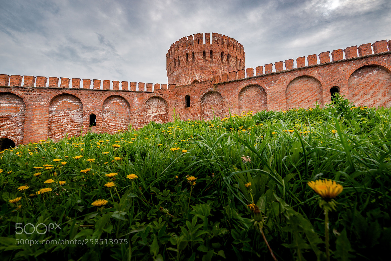 Nikon D750 sample photo. The tower eagle photography
