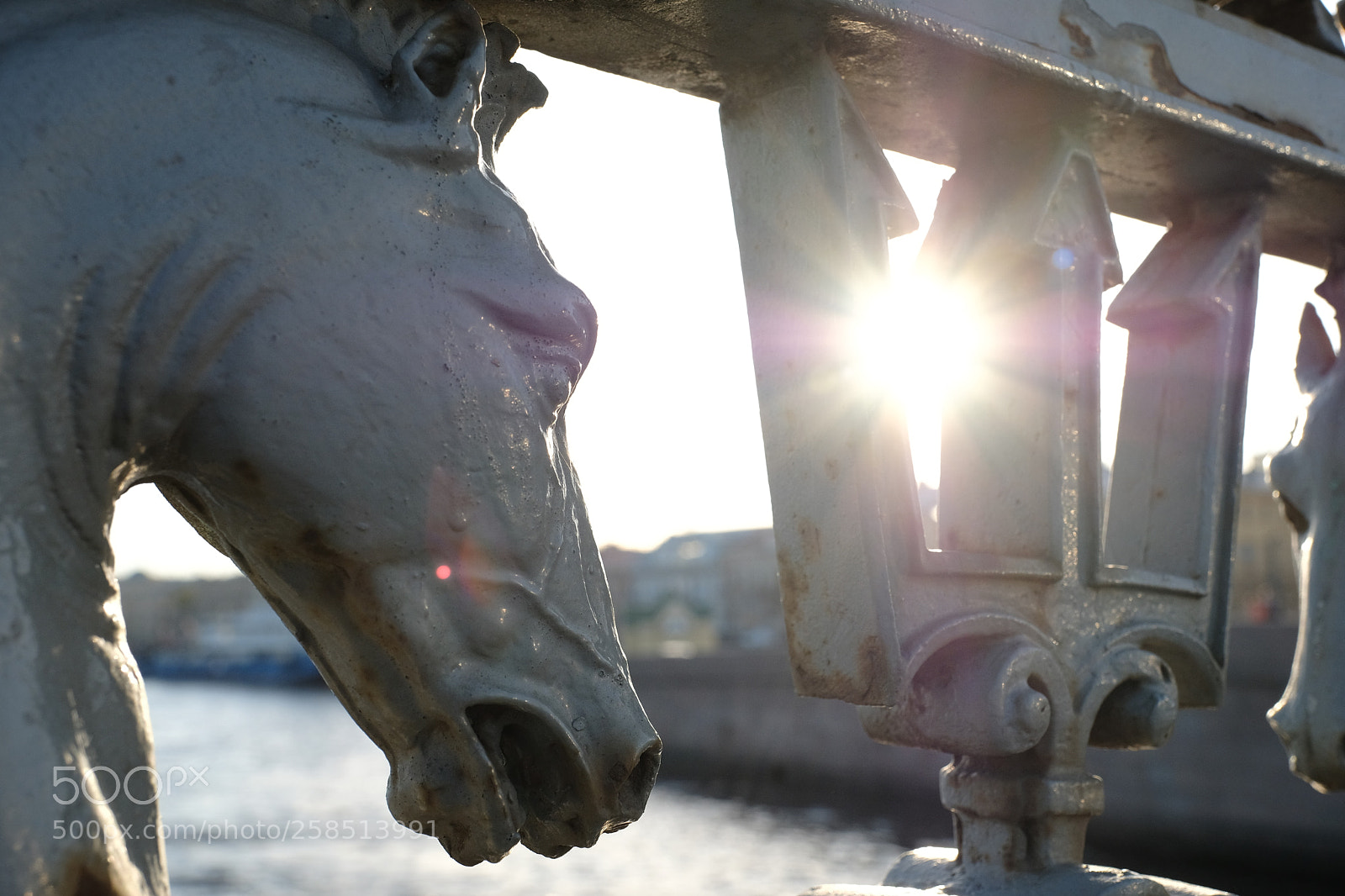 Fujifilm X-T2 sample photo. A horse with no photography