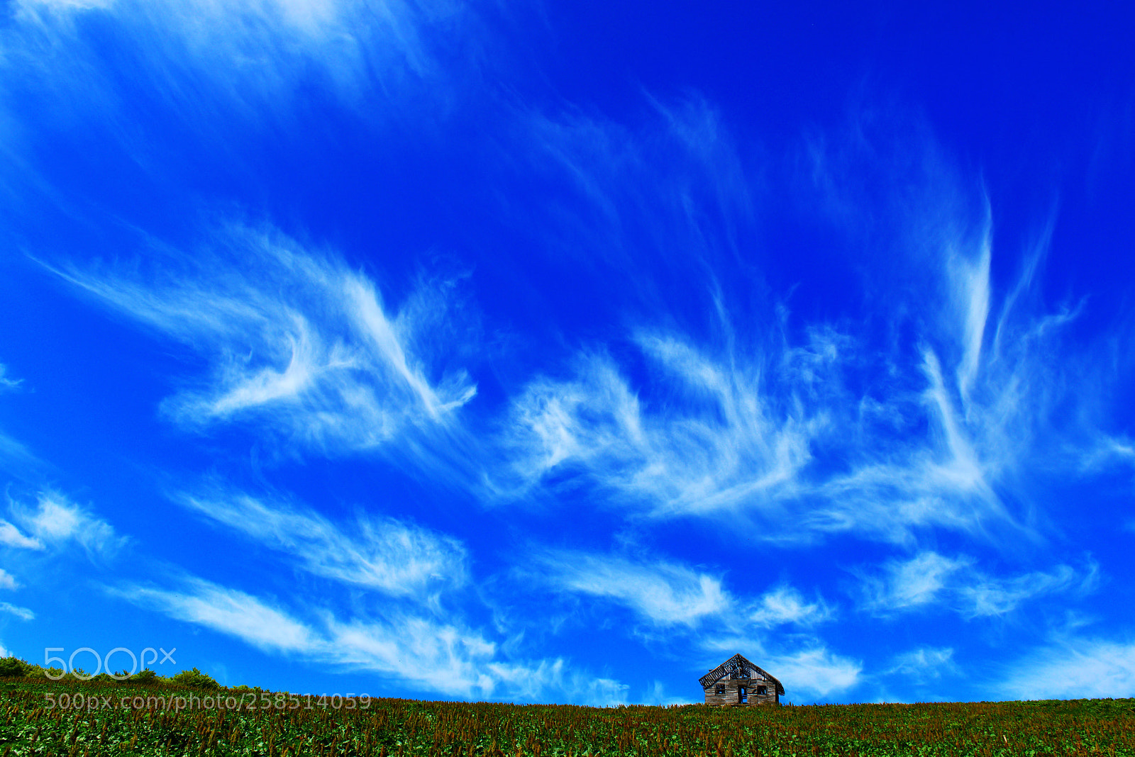 Nikon D800 sample photo. Vv photography
