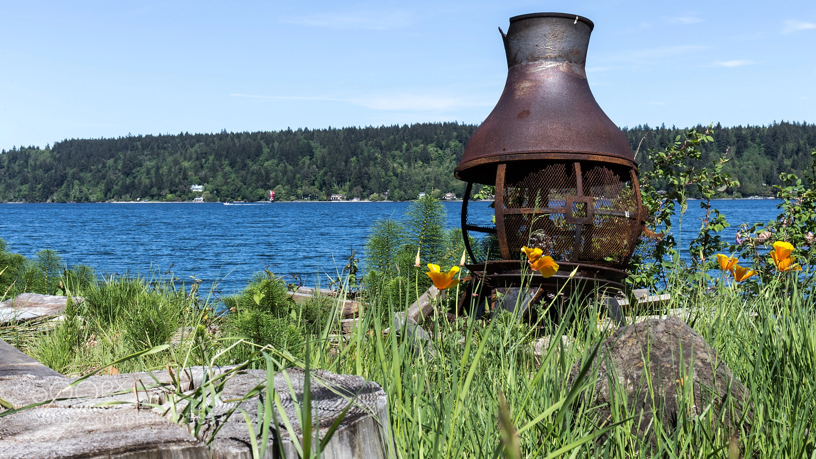 Canon EOS 6D sample photo. Old metal firebox photography