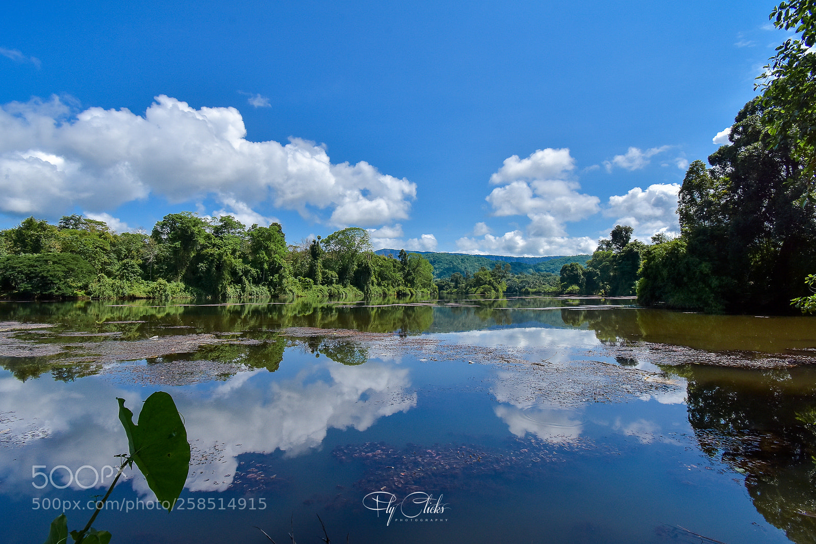 Nikon D7200 sample photo. Mirror photography