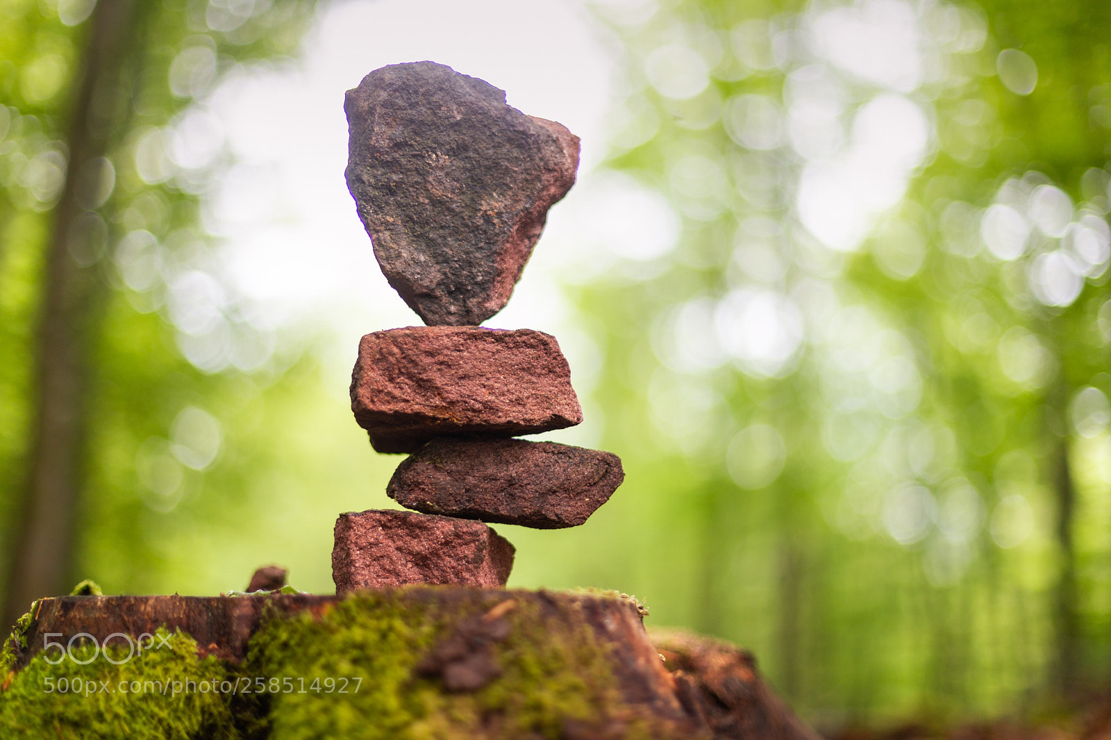 Canon EOS 6D sample photo. Balancing photography