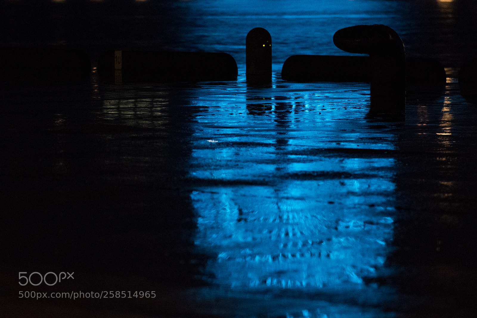 Nikon D810 sample photo. Midnight snap4 photography