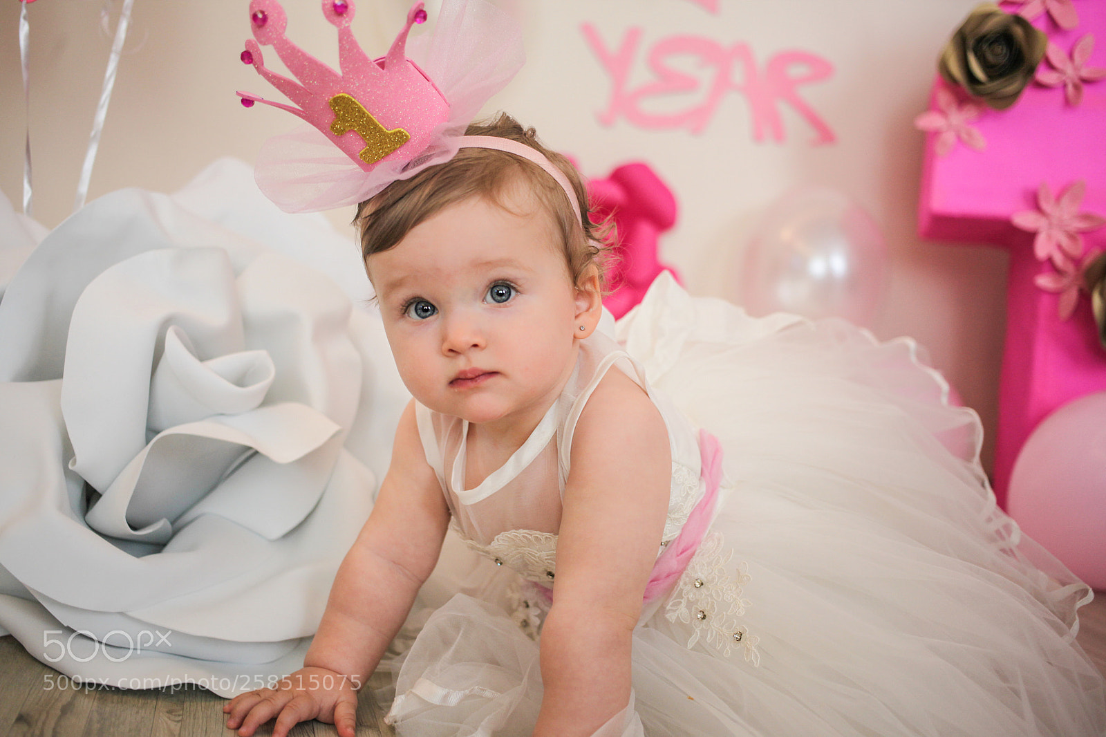 Canon EOS 5D Mark II sample photo. Hbd 1 mishel photography